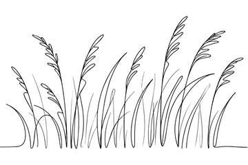Minimalist Wild Grass Plants Line Art Illustration for Natural Background Concept