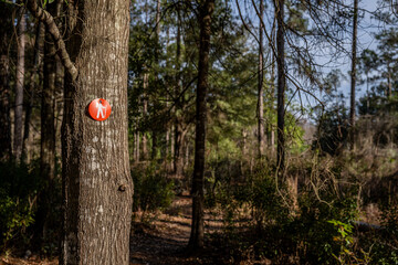 Obraz premium hiking trail in nature