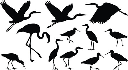 Fototapeta premium Collection of wading bird silhouettes showing cranes, herons, and storks in flight and standing poses, isolated black wildlife vector illustration on white background