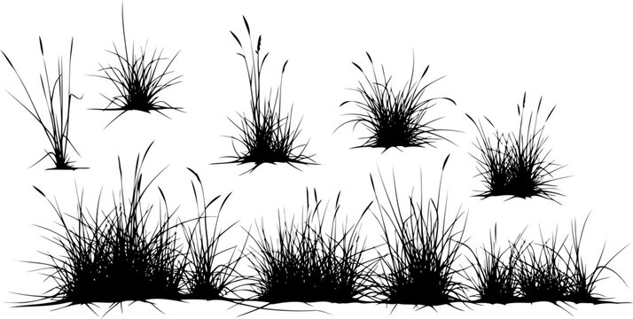 Collection of various wild grass and weed tufts silhouette vector