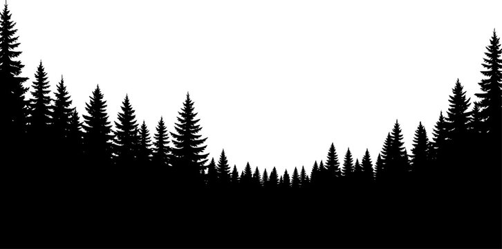 Dense pine forest treeline with coniferous evergreen trees silhouette vector