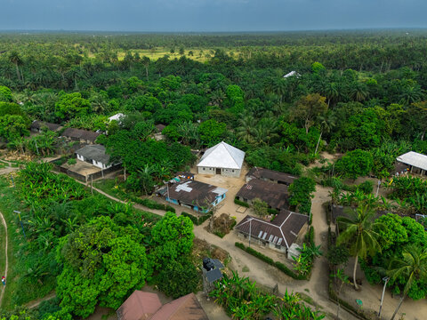 Aerial view of a tranquil village nestled amidst a sea of lush greenery, with rooftops peeking through the verdant canopy, Ubarama, Rivers, Nigeria.