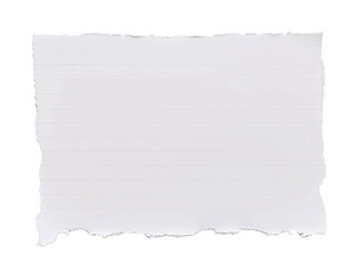 Fototapeta premium Torn White Paper on Gray Background 
