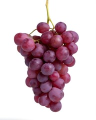 Fototapeta premium a bunch of grapes on a white background