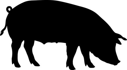 Foraging pig silhouette side view farm livestock vector illustration