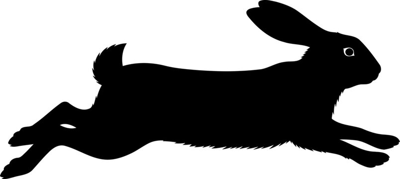 Leaping hare silhouette side view running rabbit vector illustration