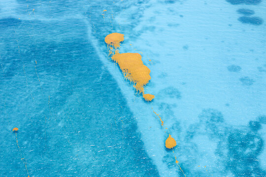 Aerial view of Atlantic Ocean algae meeting the turquoise sea in a vibrant dance of color and texture, Antigua, Antigua and Barbuda.