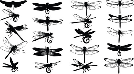 Dragonfly vector silhouettes, detailed insect illustrations, black and white nature designs, decorative elements for branding © Nahl