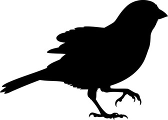 Obraz premium Small bird silhouette side view perched avian vector graphic