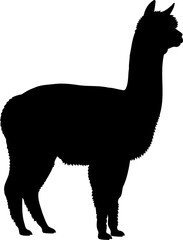 Obraz premium Standing alpaca silhouette side view woolly farm animal vector illustration