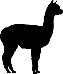 Obraz premium Standing alpaca silhouette side view livestock vector graphic