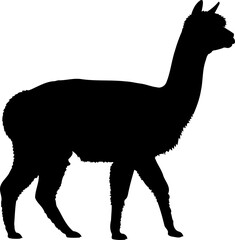 Obraz premium Walking alpaca silhouette side view llama animal vector graphic