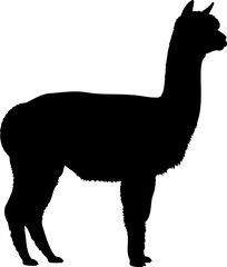 Obraz premium Alpaca silhouette side view woolly farm animal vector graphic