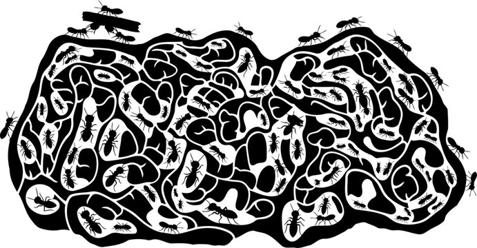 Ant colony tunnel system cross section insect nest vector graphic