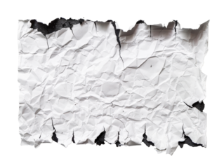 Crumpled Torn Paper Texture