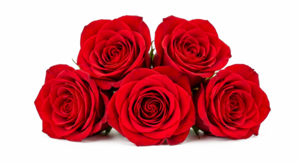 Beautiful bunch of red roses tied with rustic rope isolated on white background, natural floral bouquet for romantic valentines day present or anniversary gift