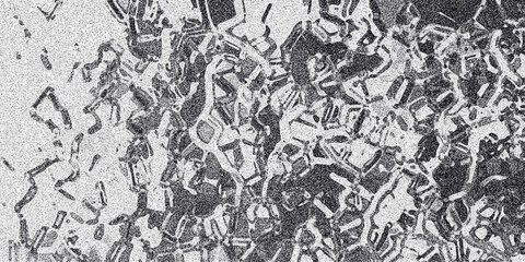 Obraz premium Intricate abstract monochromatic background with a complex network of interconnected polygonal shapes and fine grainy texture, perfect for sophisticated digital art and graphic design projects