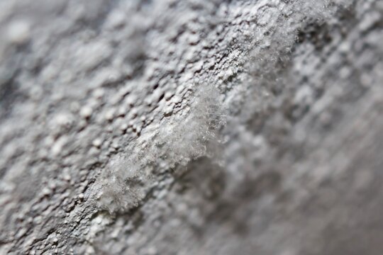 Macro shot reveals fuzzy, needle-like efflorescence crystals blooming on a damp concrete basement wall texture