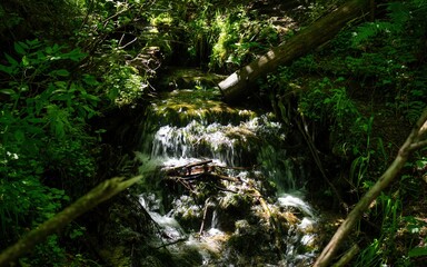Vibrant cascading stream tumbles over mossy rocks in a dense, sun-dappled forest setting, a fallen...