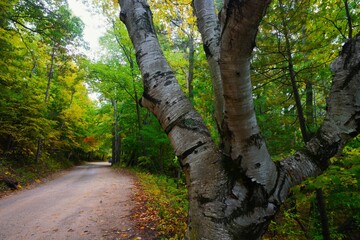 202210 Sleeping Bear Dunes NP MI © David