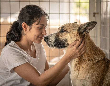 Frau streichelt Hund im Tierheim