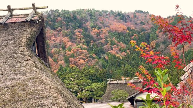 晩秋、紅葉の里と里山（美山かやぶきの里）