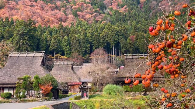晩秋、紅葉の里と里山（美山かやぶきの里）