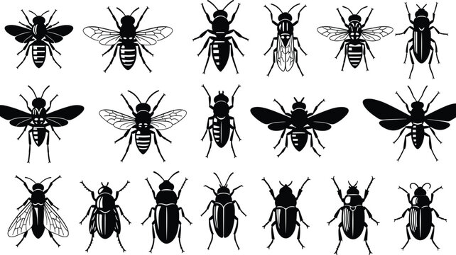 insect collection, honey bee, beetle silhouette, pest control, nature icons, wild insects, flying bugs, biology set, stinging insect, animal silhouettes, garden insects