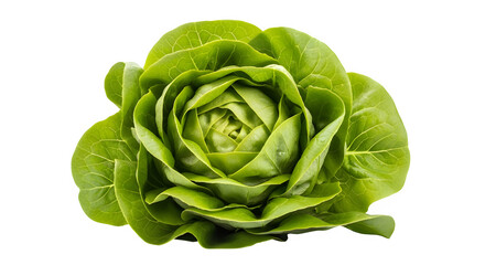Obraz premium Fresh green lettuce isolated on transparent background