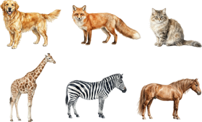 collection of watercolor animals