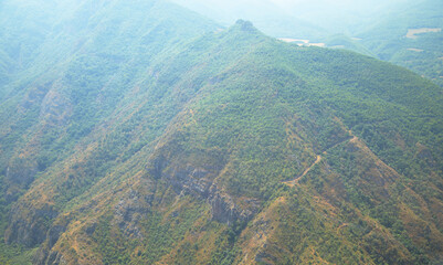 Green forest landscape. Beautiful view