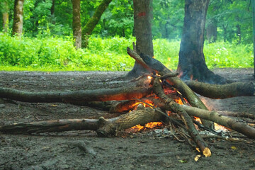 Campfire in the forest. Armenia