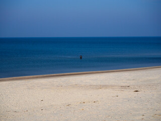 Lonely Fisherman in Calm Baltic Sea With Empty Sandy Beach - Minimal Seascape, Curonian Spit, Lithuania