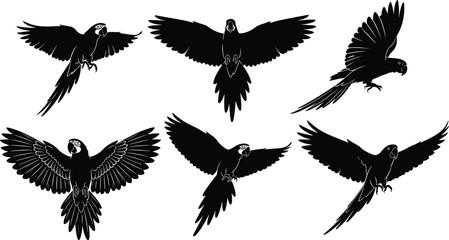 Obraz premium Flying Macaw Parrots Silhouettes Vector Set, Tropical Exotic Bird Icons in Different Poses, Black Monochrome Fauna Collection for Nature Wildlife and Zoo Design, Isolated White Background
