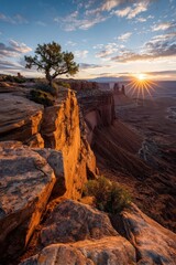 Obraz premium Golden hour light floods a rugged canyon as a small tree clings to a rock face