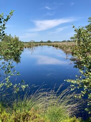 Zauberhafte Landschaft im Moor / Pietzmoor in der L&uuml;neburger Heide bei Schneverdingen 