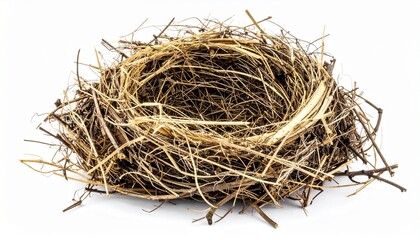 Empty bird&rsquo;s nest made of twigs evokes natural craftsmanship, ecological design, and organic shelter symbolism