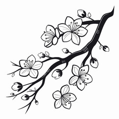 Branch of cherry blossom with pink flowers on spring tree vector background