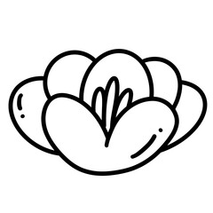 flower vector illustration