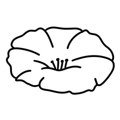 flower vector illustration