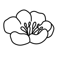flower vector illustration