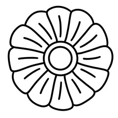 flower vector illustration