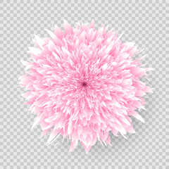 Pink dahlia on a transparent background. An element for your design. Vector illustration.