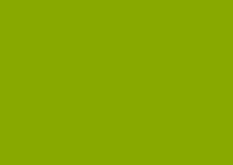 Olive Green Solid Color Minimal Background