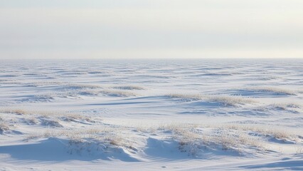 Vast Snow Covered Landscape Under a Bright Sky