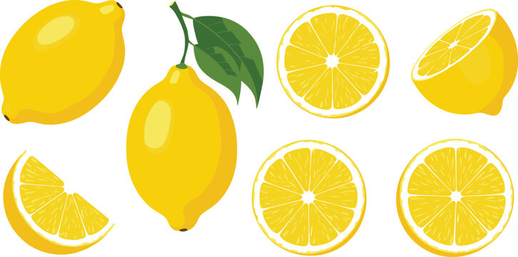 Fresh lemon fruit vector set with whole sliced and half lemons isolated on white background for food and beverage design