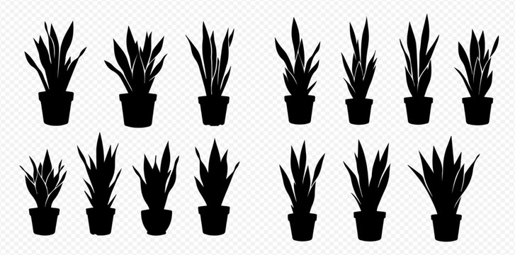 Set of potted houseplant silhouettes, including snake plants, in various sizes and shapes, isolated on a transparent background for graphic design elements.