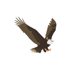 Fototapeta premium Eagle Icon, Free Eagle Victor, Free Eagle Vector, Eagle original Color