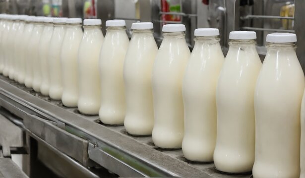 Milk factory. Robotic factory line for processing and bottling of milk
