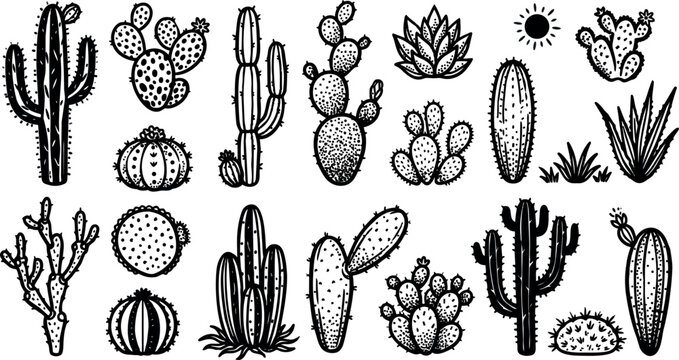 Hand drawn line art cactus icon set close up assorted desert succulents in black ink vector sheet with textured strokes outline collection